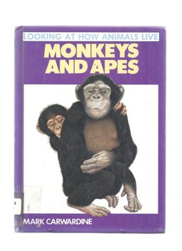 Monkeys and Apes