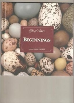 Beginnings