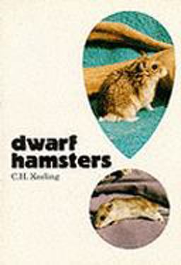 Dwarf Hamsters