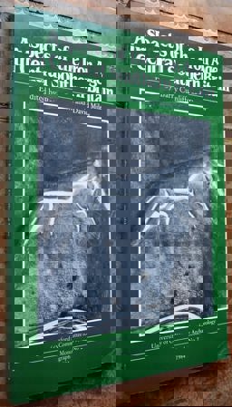 Aspects of the Iron Age in Central Southern Britain