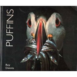 Puffins