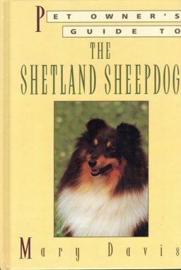 Pet Owner's Guide to the Shetland Sheepdog