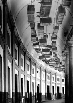 Echoes in the Darkness