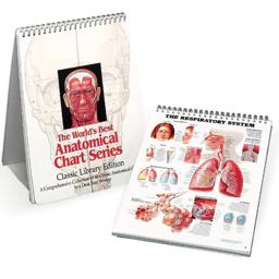 Anatomical Chart 4th 9780960373031 Front Cover