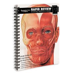 Rapid Review : Anatomy Reference Guide 1st 9780960373093 Front Cover