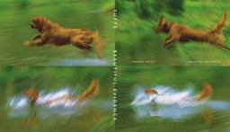 Beautiful Evidence  9780961392178 Front Cover