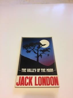 The Valley of the Moon
