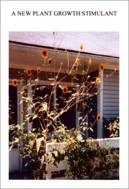 A New Plant Growth Stimulant