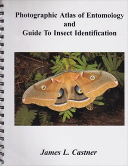 Photographic Atlas of Entomology and Guide to Insect Identification 1st 9780962515040 Front Cover