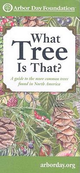 What Tree Is That? : A Guide to the More Common Trees of North America  9780963465757 Front Cover