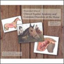 Illustrated Atlas of Clinical Equine Anatomy and Common Disorders of the Horse Vol. 2 : Reproduction, Internal Medicine and Skin  9780965446112 Front Cover