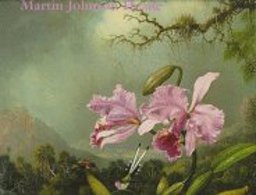 Martin Johnson Heade