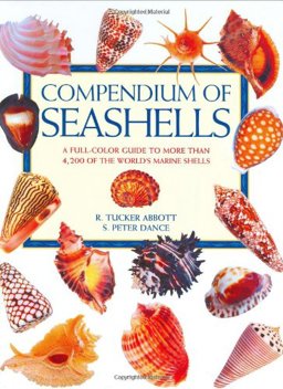 Compendium of Seashells