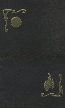 A Widow for One Year