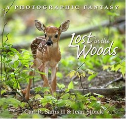 Lost in the Woods A Photographic Fantasy  9780967174884 Front Cover