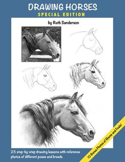 Drawing Horses