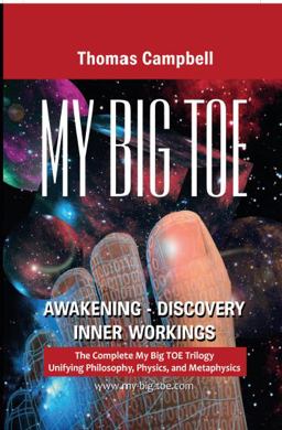 My Big TOE: Awakening Discovery Inner Workings