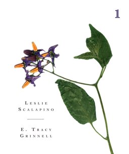 The Belladonna Elder Series 1