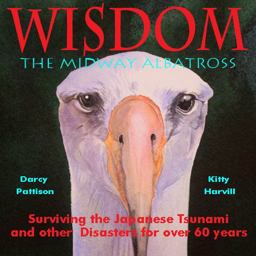 Wisdom, the Midway Albatross