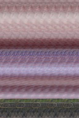 Hamlet's Hit Points  9780981884028 Front Cover