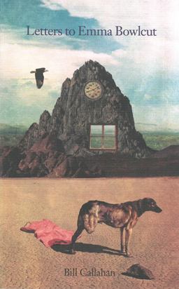 Letters to Emma Bowlcut  9780982048023 Front Cover