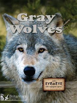 Eye to Eye with Endangered Species