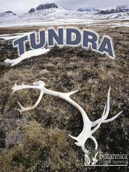 Tundra Tundra