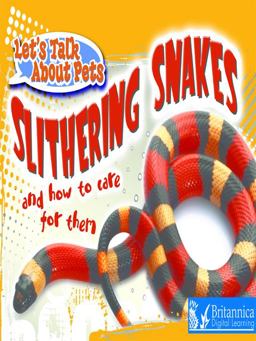 Let's Talk about Pets