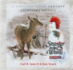 Stranger in the Woods