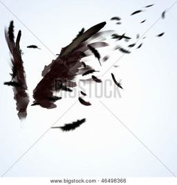 Broken Wing Broken Wing