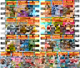 Who Would Win? Complete Set Who Would Win? Complete Set