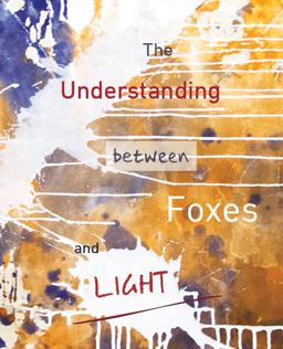 The Understanding Between Foxes and Light