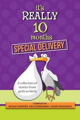 It's Really 10 Months Special Delivery A Collection of Stories from Girth to Birth 1st 2015 9780988866843 Front Cover