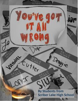 You've Got It All Wrong 1st 2013 9780989438100 Front Cover