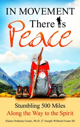 In Movement There Is Peace Stumbling 500 Miles along the Way to the Spirit  9780989507707 Front Cover