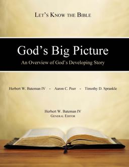 God's Big Picture