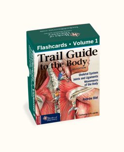 Trail Guide to the Body 6e Flashcards, Volume 1 Skeletal System, Joints and Ligaments and Movements of the Body 6th 9780991466603 Front Cover