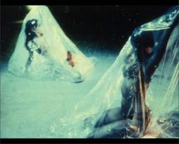 Carolee Schneemann: Uncollected Texts  9780991558551 Front Cover