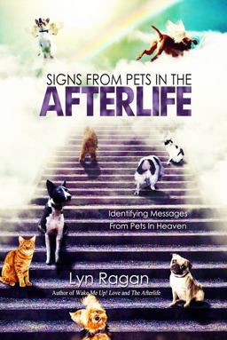 Signs from Pets in the Afterlife Identifying Messages from Pets in Heaven  9780991641420 Front Cover