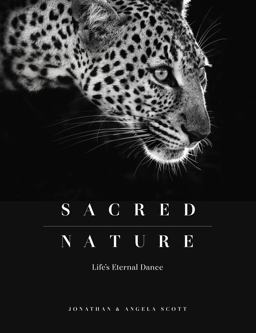 Sacred Nature