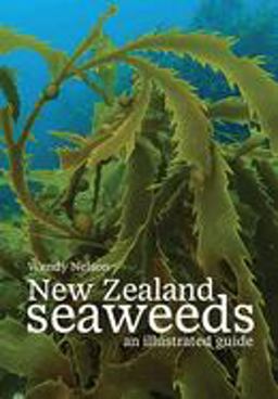 New Zealand Seaweeds New Zealand Seaweeds