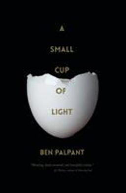 Small Cup of Light A Drink in the Desert 1st 9780996038928 Front Cover