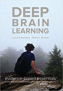 Deep Brain Learning  9780996159104 Front Cover