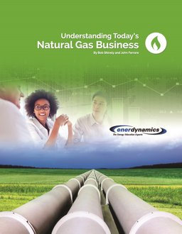 Understanding Today's Natural Gas Business  9780996528504 Front Cover