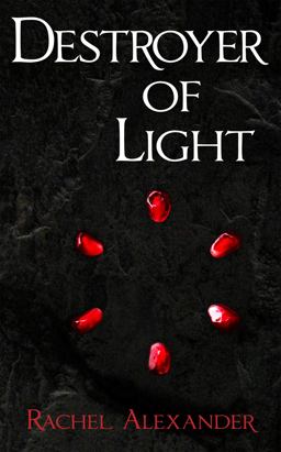 Destroyer of Light  9780996644723 Front Cover