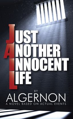 Just Another Innocent Life - Hard Cover