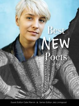 Best New Poets 2019 50 Poems from Emerging Writers  9780997562330 Front Cover