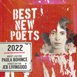 Best New Poets 2022 50 Poems from Emerging Writers  9780997562361 Front Cover