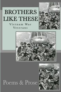 Brothers Like These  9780998194929 Front Cover