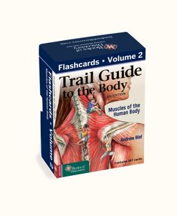 Trail Guide to the Body Flashcards Muscles of the Human Body  9780998785097 Front Cover